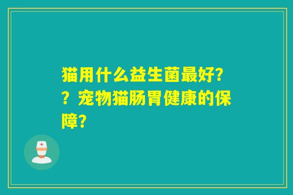 猫用什么益生菌最好？？宠物猫肠胃健康的保障？