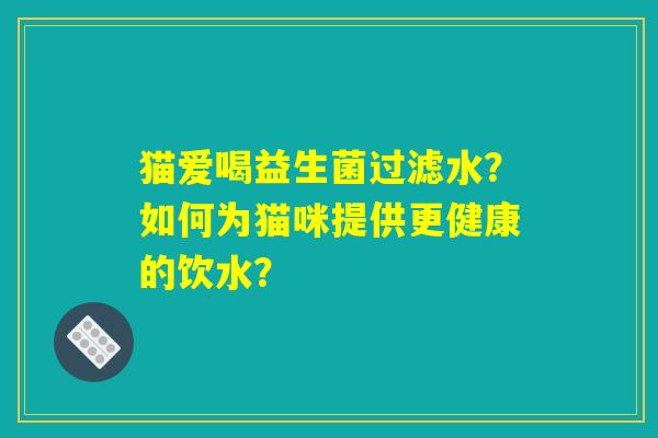 猫爱喝益生菌过滤水？如何为猫咪提供更健康的饮水？