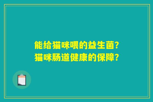 能给猫咪喂的益生菌？猫咪肠道健康的保障？