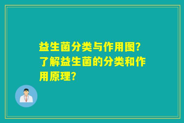 益生菌分类与作用图？了解益生菌的分类和作用原理？