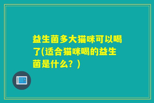 益生菌多大猫咪可以喝了(适合猫咪喝的益生菌是什么？)