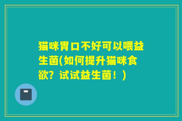 猫咪胃口不好可以喂益生菌(如何提升猫咪食欲？试试益生菌！)