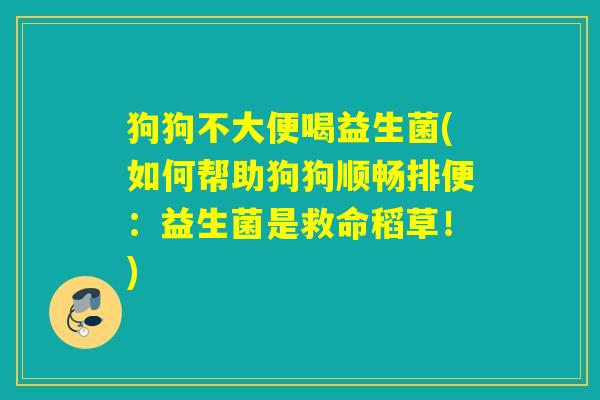 狗狗不大便喝益生菌(如何帮助狗狗顺畅排便：益生菌是救命稻草！)