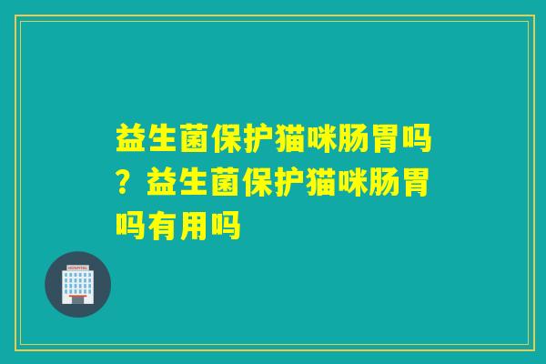益生菌保护猫咪肠胃吗？益生菌保护猫咪肠胃吗有用吗