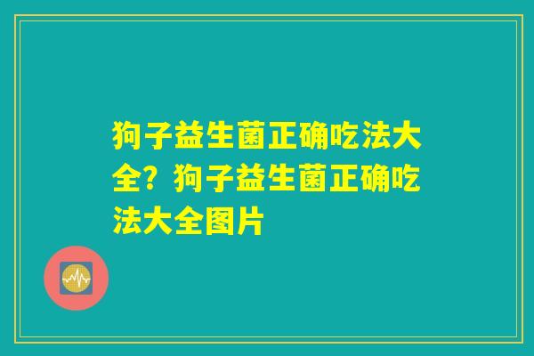 狗子益生菌正确吃法大全？狗子益生菌正确吃法大全图片