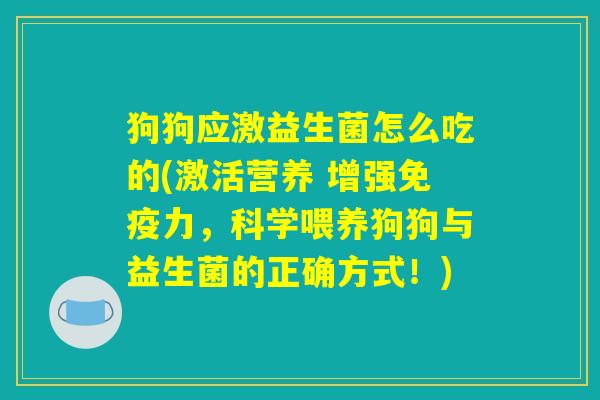 狗狗应激益生菌怎么吃的(激活营养 增强免疫力，科学喂养狗狗与益生菌的正确方式！)