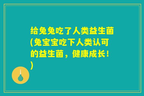 给兔兔吃了人类益生菌(兔宝宝吃下人类认可的益生菌，健康成长！)