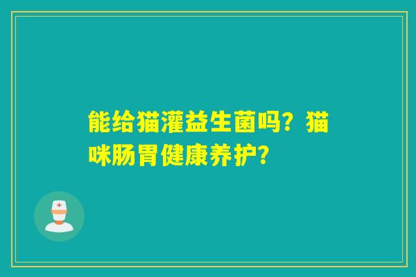能给猫灌益生菌吗？猫咪肠胃健康养护？