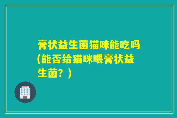 膏状益生菌猫咪能吃吗(能否给猫咪喂膏状益生菌？)