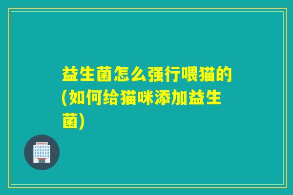 益生菌怎么强行喂猫的(如何给猫咪添加益生菌)
