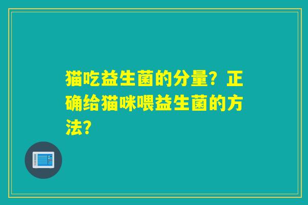 猫吃益生菌的分量？正确给猫咪喂益生菌的方法？