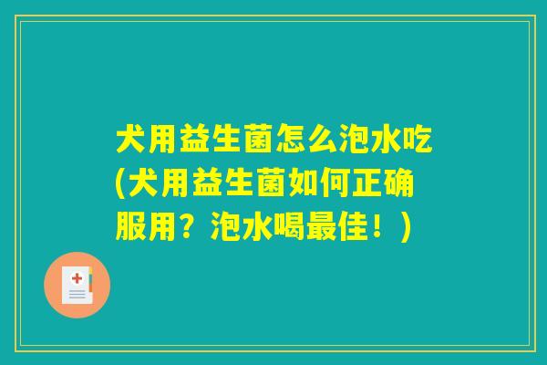 犬用益生菌怎么泡水吃(犬用益生菌如何正确服用？泡水喝最佳！)