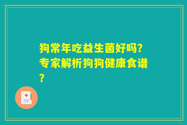 狗常年吃益生菌好吗？专家解析狗狗健康食谱？