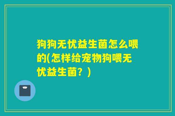 狗狗无忧益生菌怎么喂的(怎样给宠物狗喂无忧益生菌？)