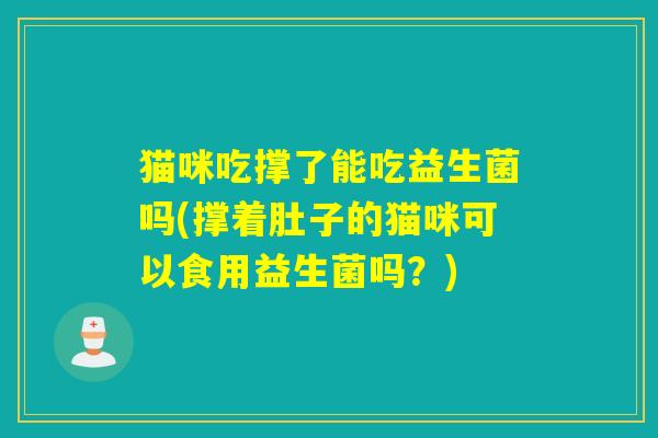猫咪吃撑了能吃益生菌吗(撑着肚子的猫咪可以食用益生菌吗？)