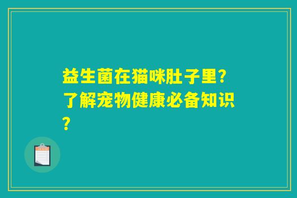 益生菌在猫咪肚子里?了解宠物健康必备知识? 益生菌在猫咪肚子里?了解宠物健康必备知识?
