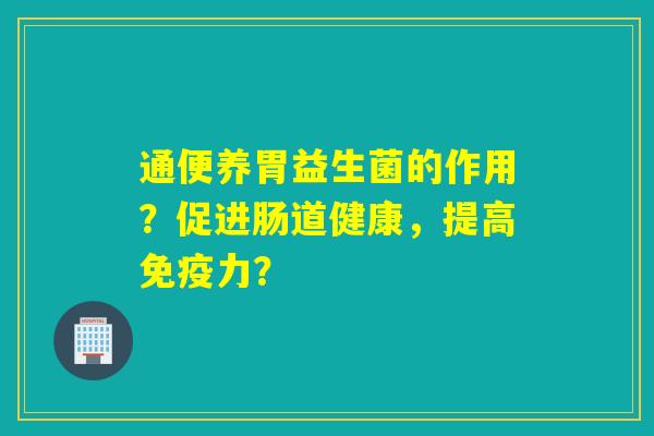 通便养胃益生菌的作用？促进肠道健康，提高免疫力？