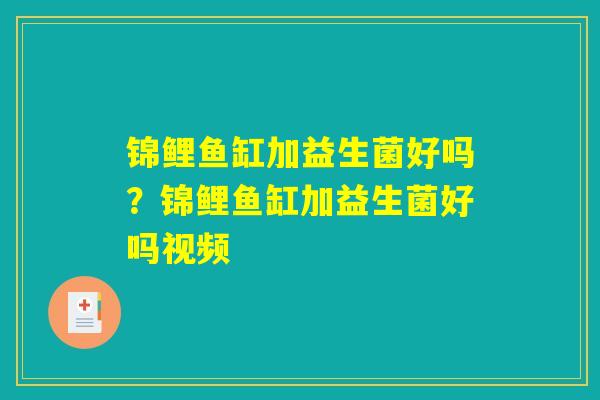 锦鲤鱼缸加益生菌好吗？锦鲤鱼缸加益生菌好吗视频
