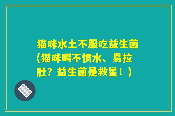 猫咪水土不服吃益生菌(猫咪喝不惯水、易拉肚？益生菌是救星！)