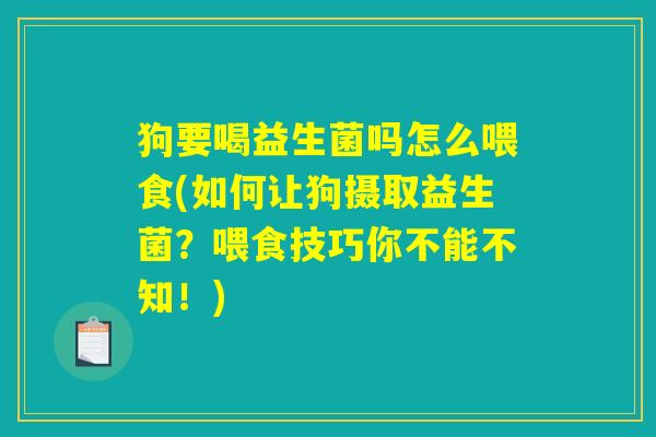 狗要喝益生菌吗怎么喂食(如何让狗摄取益生菌？喂食技巧你不能不知！)