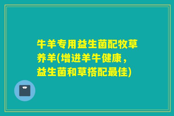 牛羊专用益生菌配牧草养羊(增进羊牛健康，益生菌和草搭配最佳)