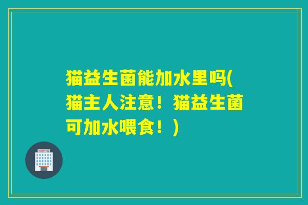 猫益生菌能加水里吗(猫主人注意！猫益生菌可加水喂食！)