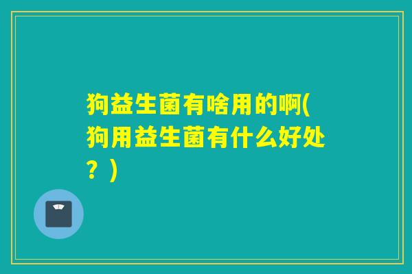 狗益生菌有啥用的啊(狗用益生菌有什么好处?) 狗益生菌有啥用的啊(狗用益生菌有什么好处?)