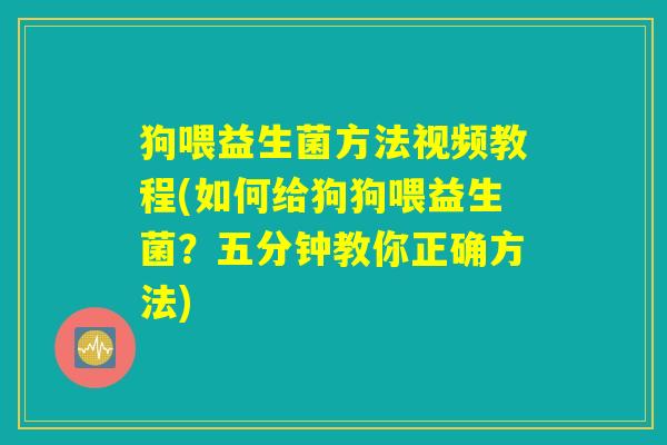 狗喂益生菌方法视频教程(如何给狗狗喂益生菌？五分钟教你正确方法)