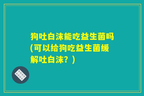 狗吐白沫能吃益生菌吗(可以给狗吃益生菌缓解吐白沫？)