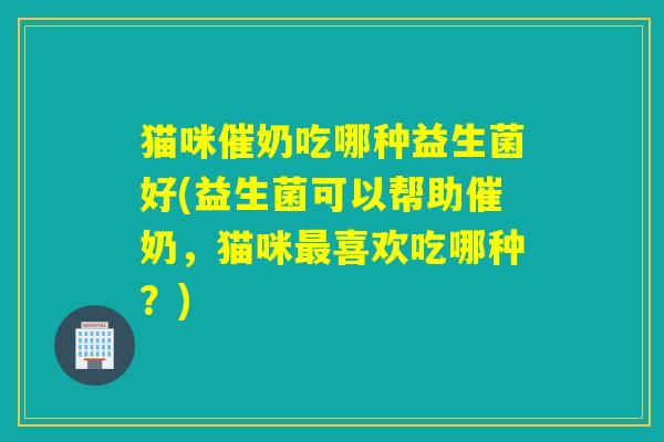 猫咪催奶吃哪种益生菌好(益生菌可以帮助催奶,猫咪喜欢吃哪种?) 猫咪催奶吃哪种益生菌好(益生菌可以帮助催奶,猫咪喜欢吃哪种?)