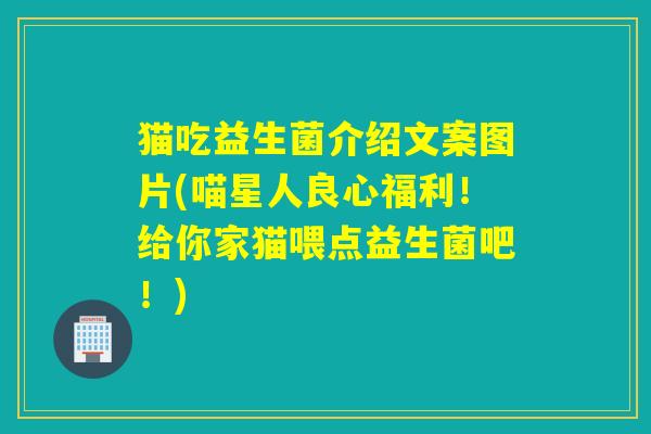 猫吃益生菌介绍文案图片(喵星人良心福利!给你家猫喂点益生菌吧!) 猫吃益生菌介绍文案图片(喵星人良心福利!给你家猫喂点益生菌吧!)