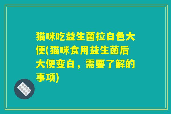 猫咪吃益生菌拉白色大便(猫咪食用益生菌后大便变白，需要了解的事项)