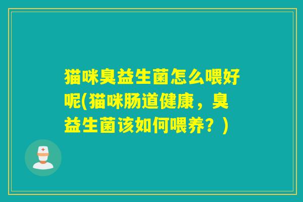 猫咪臭益生菌怎么喂好呢(猫咪肠道健康，臭益生菌该如何喂养？)