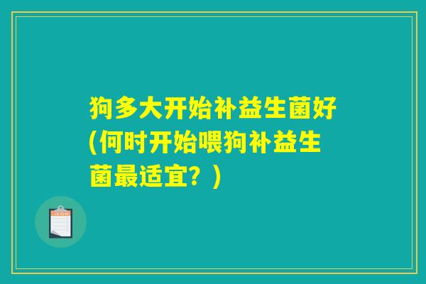 狗多大开始补益生菌好(何时开始喂狗补益生菌适宜?) 狗多大开始补益生菌好(何时开始喂狗补益生菌适宜?)