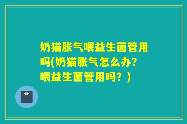 奶猫胀气喂益生菌管用吗(奶猫胀气怎么办？喂益生菌管用吗？)
