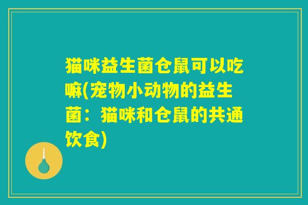 猫咪益生菌仓鼠可以吃嘛(宠物小动物的益生菌：猫咪和仓鼠的共通饮食)