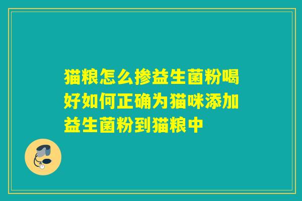 猫粮怎么掺益生菌粉喝好如何正确为猫咪添加益生菌粉到猫粮中