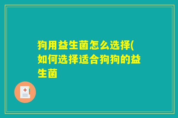 狗用益生菌怎么选择(如何选择适合狗狗的益生菌