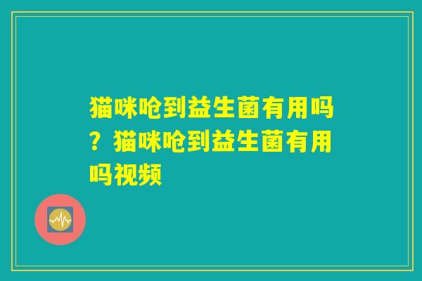 猫咪呛到益生菌有用吗？猫咪呛到益生菌有用吗视频