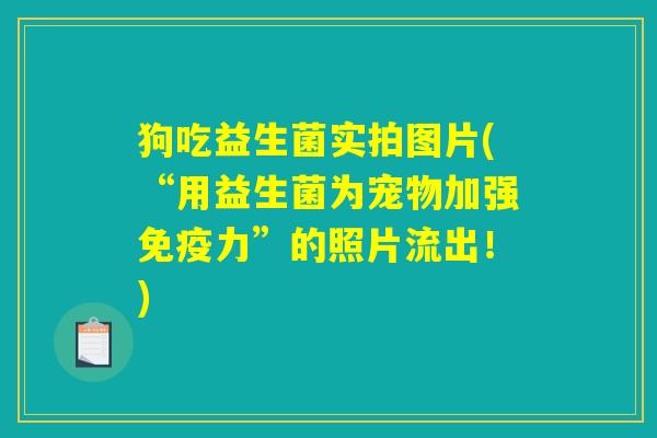 狗吃益生菌实拍图片(“用益生菌为宠物加强免疫力”的照片流出！)