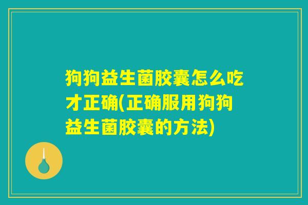 狗狗益生菌胶囊怎么吃才正确(正确服用狗狗益生菌胶囊的方法)