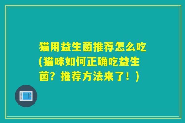 猫用益生菌推荐怎么吃(猫咪如何正确吃益生菌?推荐方法来了!) 猫用益生菌推荐怎么吃(猫咪如何正确吃益生菌?推荐方法来了!)