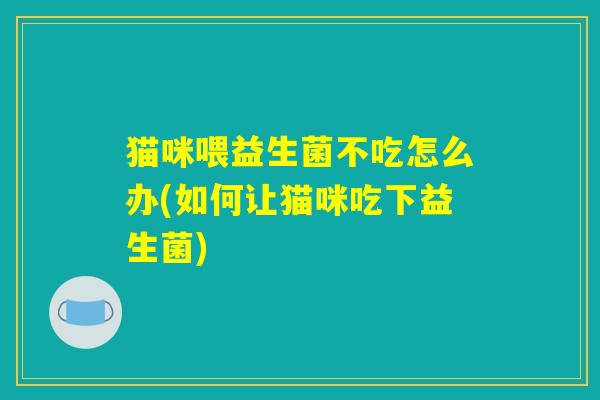 猫咪喂益生菌不吃怎么办(如何让猫咪吃下益生菌)