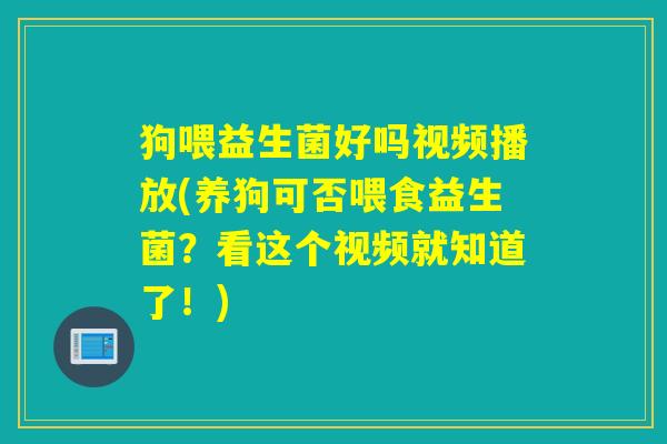 狗喂益生菌好吗视频播放(养狗可否喂食益生菌？看这个视频就知道了！)