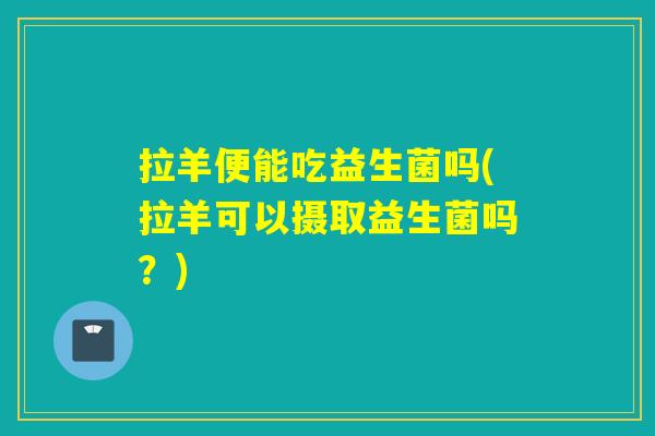 拉羊便能吃益生菌吗(拉羊可以摄取益生菌吗？)