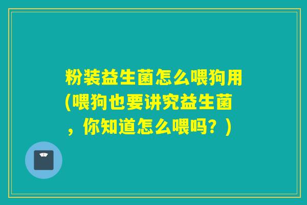 粉装益生菌怎么喂狗用(喂狗也要讲究益生菌,你知道怎么喂吗?) 粉装益生菌怎么喂狗用(喂狗也要讲究益生菌,你知道怎么喂吗?)