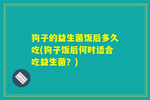 狗子的益生菌饭后多久吃(狗子饭后何时适合吃益生菌？)
