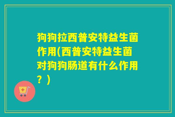 狗狗拉西普安特益生菌作用(西普安特益生菌对狗狗肠道有什么作用？)