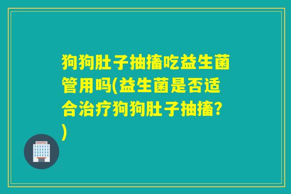 狗狗肚子抽搐吃益生菌管用吗(益生菌是否适合治疗狗狗肚子抽搐？)