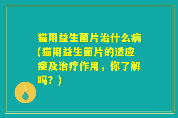 猫用益生菌片治什么病(猫用益生菌片的适应症及治疗作用，你了解吗？)